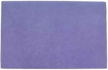 picture of Brune Z85 coarse dust filter for Defensor PH28 