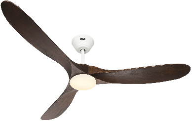 Bild von CasaFan Eco Genuino-L 152 MW-NB 