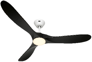 Bild von CasaFan Eco Genuino-L 152 MW-MS 