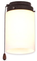 picture of Ceiling fan light 1z BA 