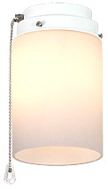 picture of Ceiling fan light 1z WE 
