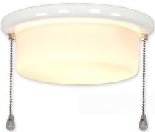 picture of Ceiling fan light 15z WE 