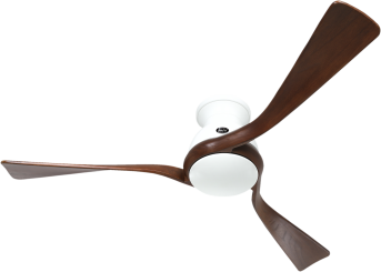 picture of Ceiling fan CasaFan Eco Regento WE-NB 