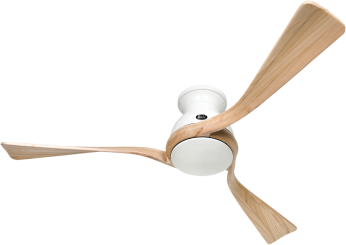 Bild von Deckenventilator CasaFan Eco Regento WE-NT 