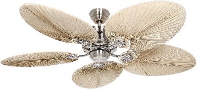 picture of Ceiling fan CasaFan Caribbean Dream Eco II BN-PLM 