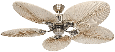 picture of Ceiling fan CasaFan Caribbean Dream Eco II MA-PLM 