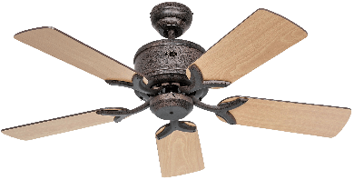 picture of Ceiling Fan CasaFan Eco Elements 103 BA-NB/BU 