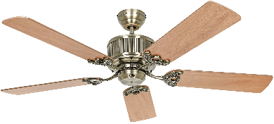 picture of Ceiling Fan CasaFan Eco Elements 132 MA-EA/BU 