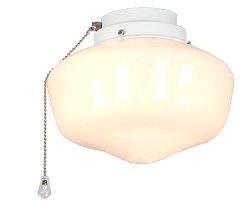 picture of Ceiling fan light 1 WE 