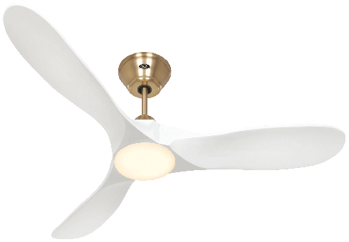 Ceiling fan CasaFan Eco Genuino-L 122 MG-MW