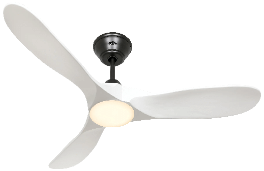 Ceiling fan CasaFan Eco Genuino-L 122 MS-MW