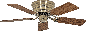 Bild-1