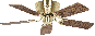 Bild-1