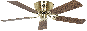 Bild-1