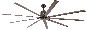 Bild-1