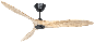 Bild-1