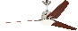 Bild-1