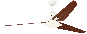 Bild-1