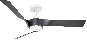 Bild-1