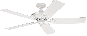Bild-1