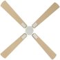 Bild-6